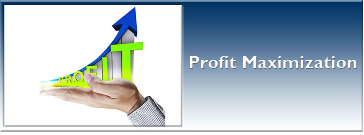 Profit Maximization
